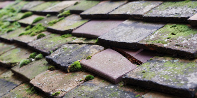 Pontyates roof repair costs